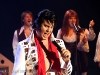 Elvis story