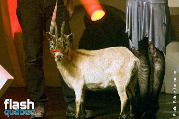 Gala Louis Morissette et Jean-FranÃ§ois Mercier - Juste pour rire 2010 - Utilisation quelle qu'elle soit strictement interdite sans l'accord de l'auteur - patrick@flashquebec.ca