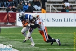 Alouettes16nov-8133