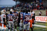 Alouettes16nov-8156