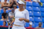 wozniacki_rogers-13